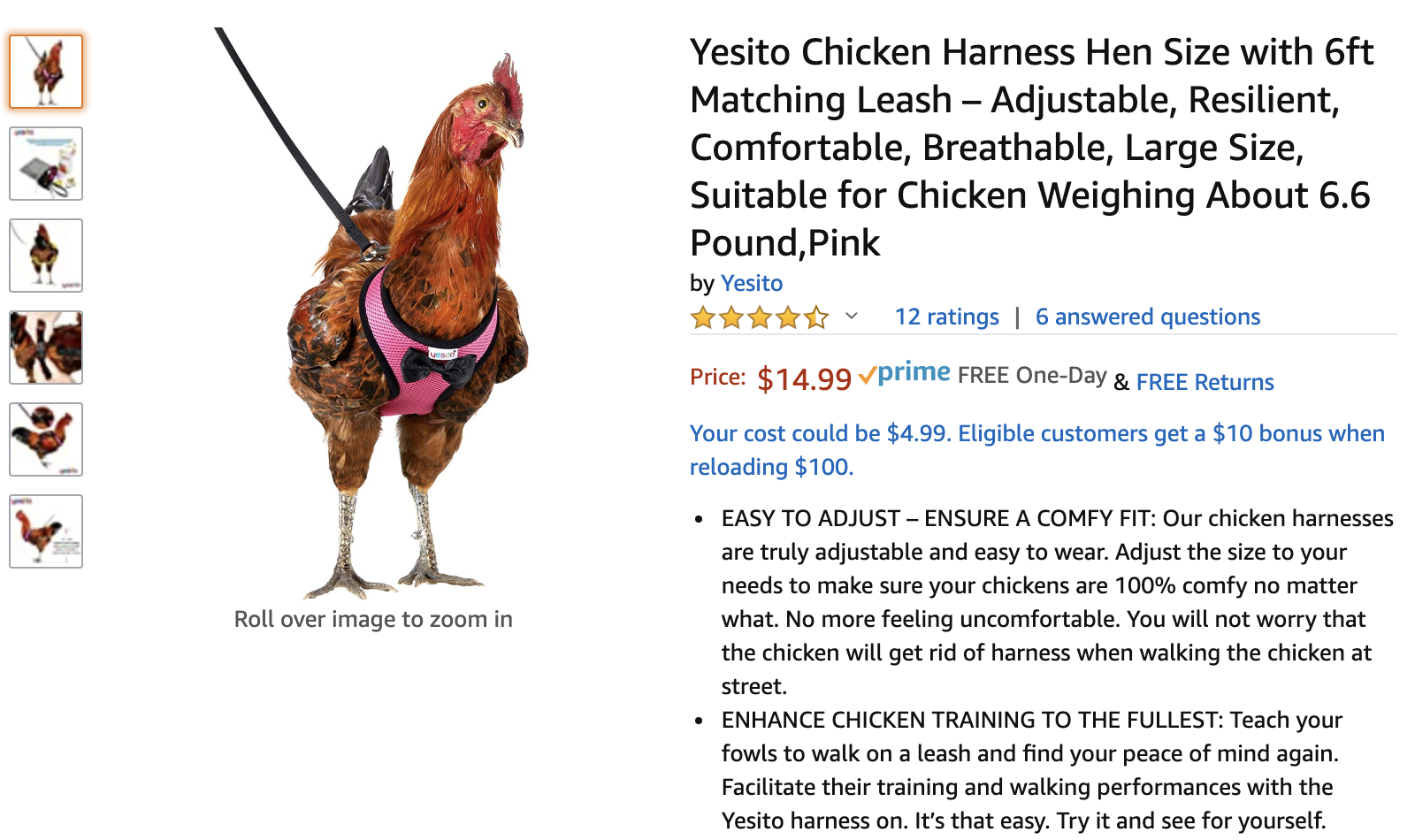 chicken harness